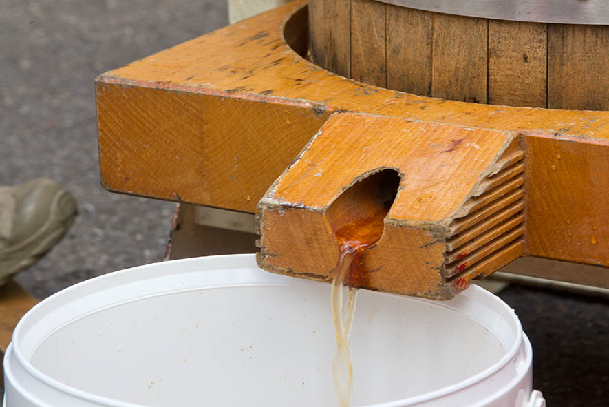 Naturerfahrung fördern Streuobstpädagogik