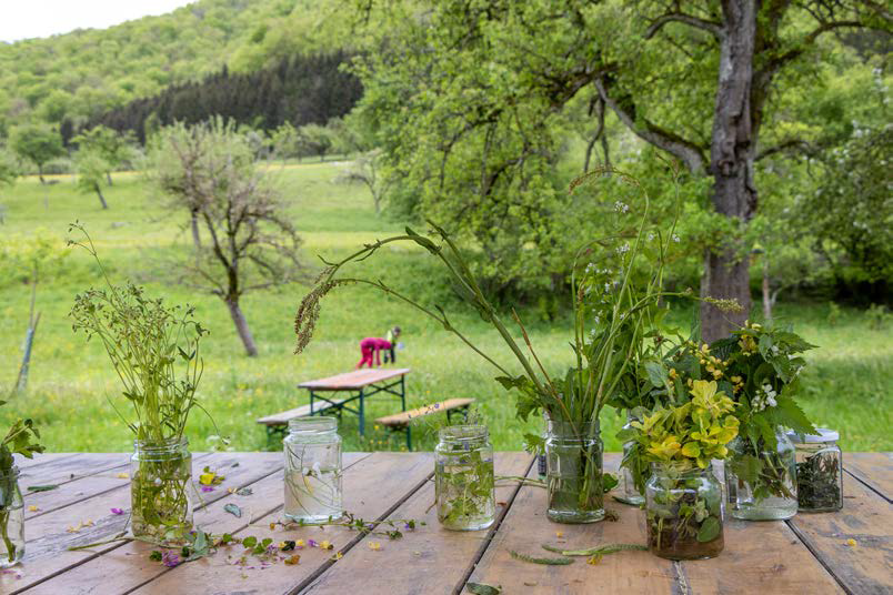 Artenvielfalt verstehen