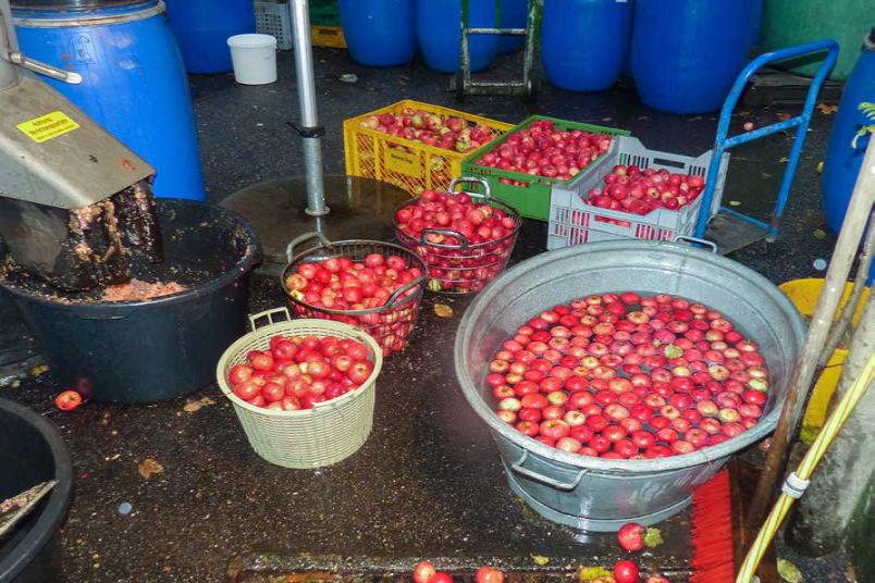 Destillate aus alten Obstsorten - Schwäbischen ObstArche