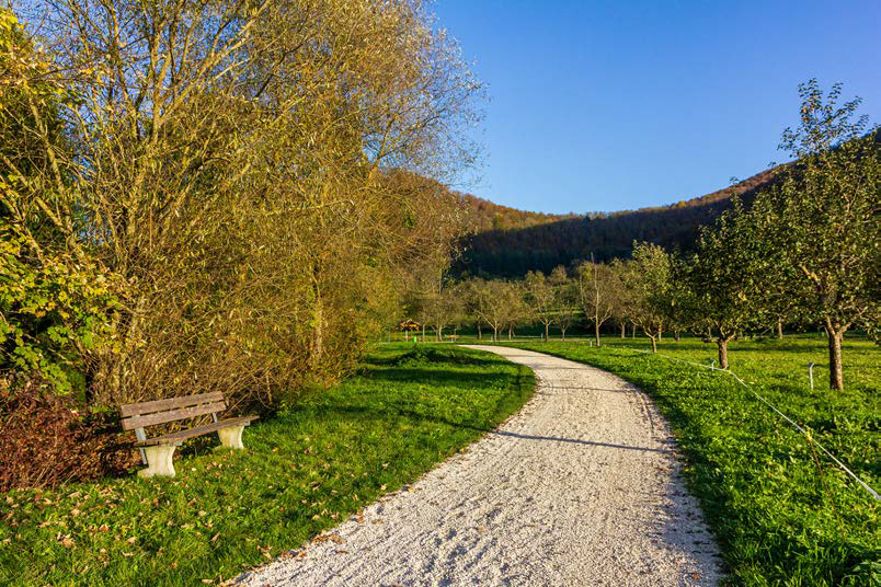 Schwäbische Obstarche - Bissingen Ochsenwanger Steige Luike Parzelle Weissinger Blüte