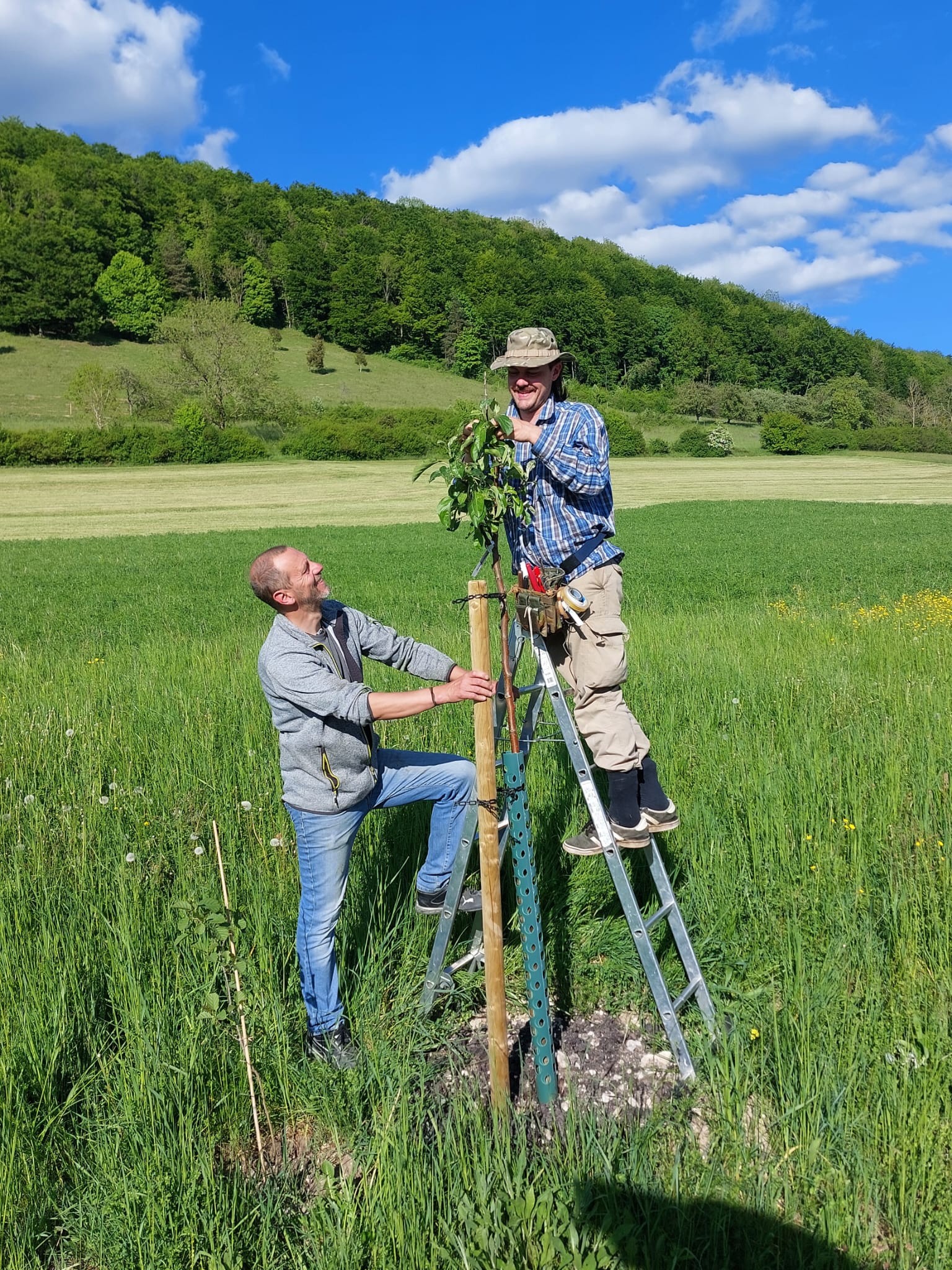 Schwäbische Obstarche - Obstsortenvielfalt