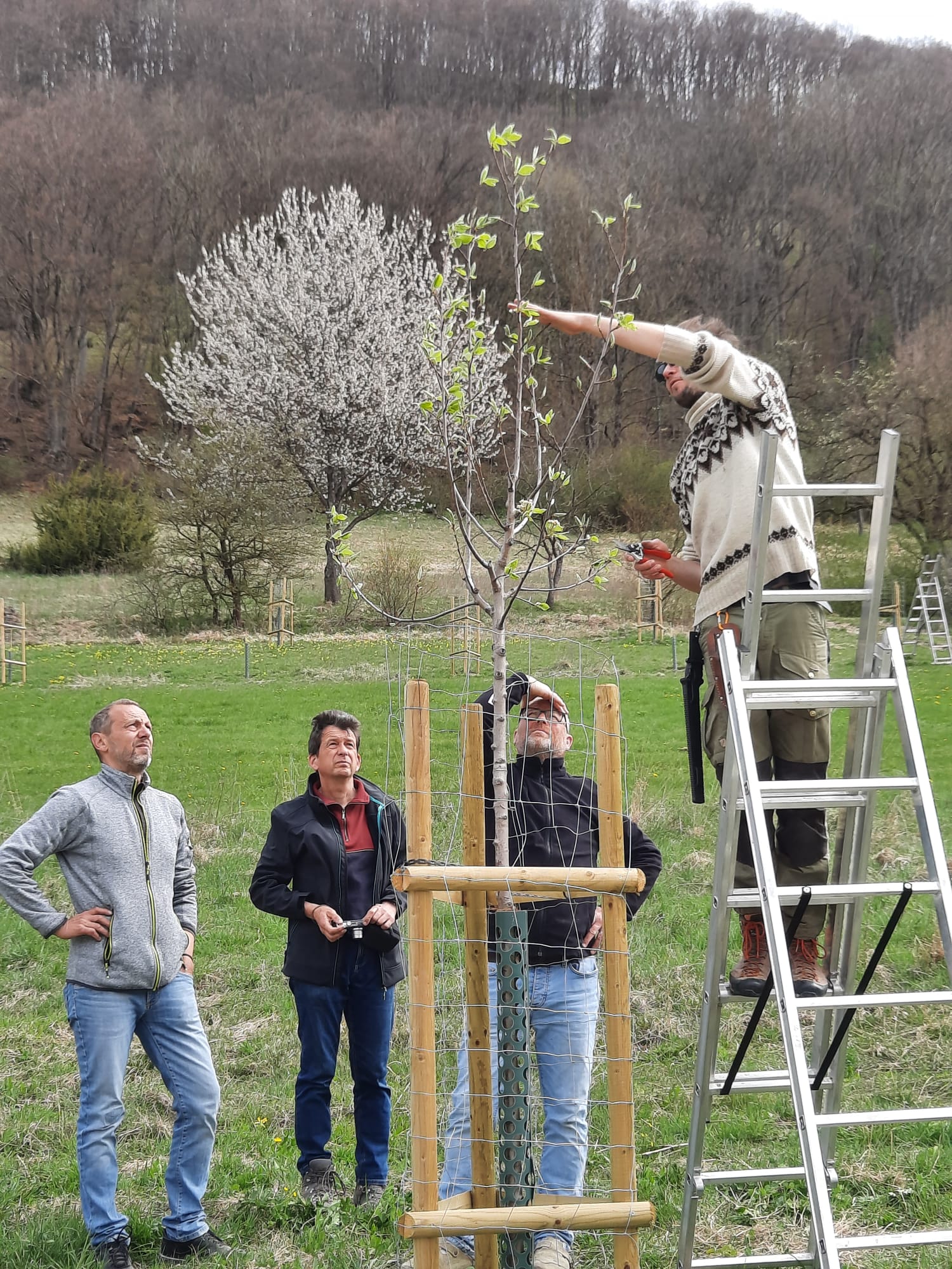 Führungen im Rahmen der Schwäbischen ObstArche